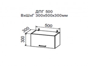 Шкаф верхний ДПГ500 горизонтальный в Верхотурье - verhoture.magazin-mebel74.ru | фото