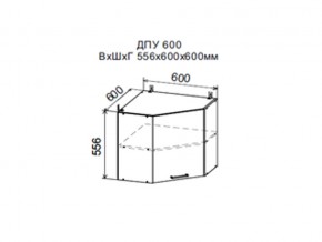 Шкаф верхний ДПУ600 угловой в Верхотурье - verhoture.magazin-mebel74.ru | фото